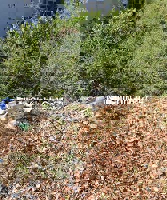 Chính chủ nhờ bán đất dt 76,5m2 giá 685tr Long An