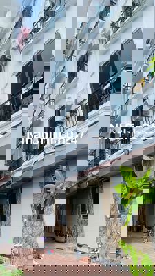 Chính chủ cần bán nhà 30.3m2 cụm 5 tân lập, đan phượng