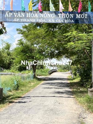 chính chủ cần tiền bán gấp 57tr/1000m2