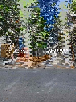 tôi chính chủ bán lô đất thị trấn Tân Túc 60m2, sổ riêng xây tự do