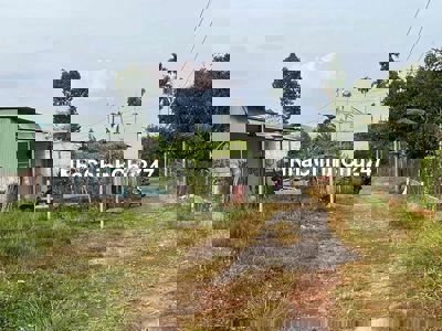 chính chủ bán đất phường Tam Phước, Biên Hoà, Đồng Nai