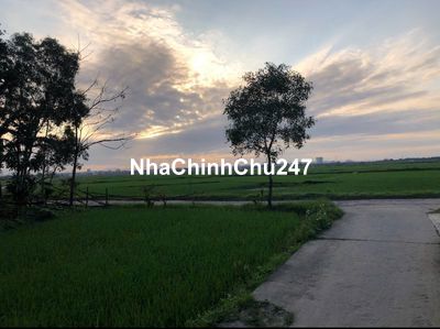 CHÍNH CHỦ CẦN BÁN ĐẤT Ở ĐÔ THỊ