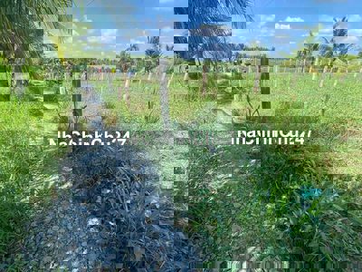 KẸT TIỀN CẦN BÁN ĐẤT-FULL TC- BAO SANG TÊN- CHÍNH CHỦ