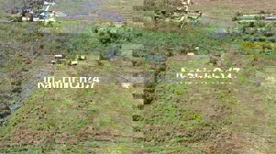 [CHÍNH CHỦ] Cần bán 2,1ha đất Bình Dương