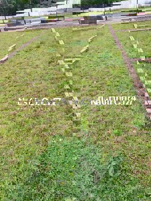 Cần bán đất chính chủ