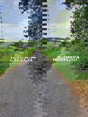 GIẢI CỨU LÔ ĐẤT MẶT TIỀN ẤP AN PHÚ, XÃ AN TỊNH CHÍNH CHỦ CẦN BÁN GẤP