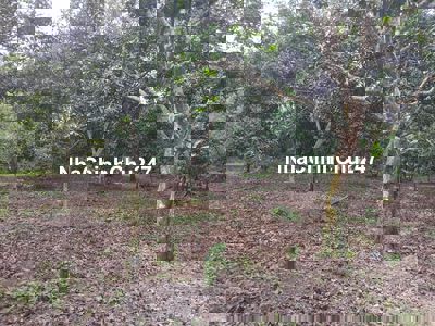 Chính chủ bán đất tại Bảo Quang, Long Khánh, Đồng Nai