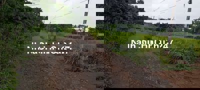 Cần bán đất chính chủ, đất ở nông thôn, có thể lên được thổ cư