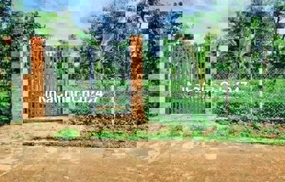 Chính chủ bán vườn 2500m2 có nhà cấp 4 ngay UBND Tân Hiệp - Bình Dương