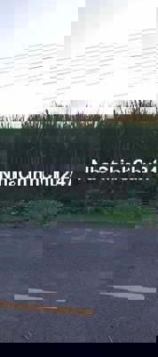 Chính chủ bán lô đất đường nhựa đường cây cầy xã hoà hiệp TP p hcm