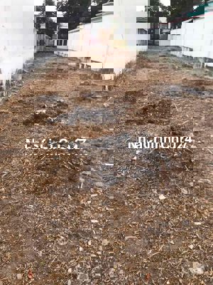 CHÍNH CHỦ KẸT TIỀN BÁN LỖ ĐẤT ĐƯỜNG LÊ THỊ TRUYỀN PHƯỚC VĨNH AN 890TR