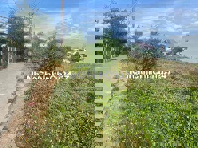 đấtgiá đẹp cần tìm chủ mới đường Tết mậu thân Gò Công Tiền Giang 115m2