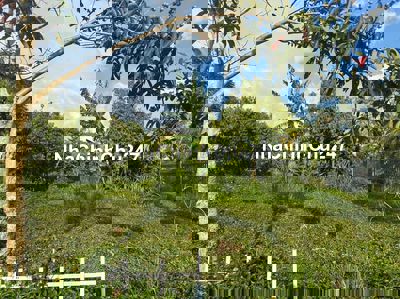 Kẹt tiền trả lãi chủ bán lô đất 2500m2 giá chỉ 550 triệu tại Tân Lạc