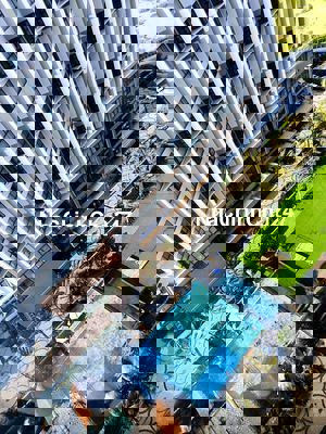 Bán căn hộ nghỉ dưỡng cao cấp chính chủ