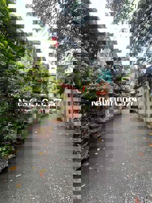 Tìm Chủ Mới Nhà Đẹp Nguyễn Trãi, Xây Mới Full Nội Thất, 46m2_4Tầng