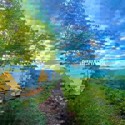 Chính chủ cần sang nhượng gấp đất vườn tại Đồng Nai do chuyển về quê