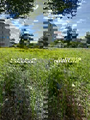 Chính chủ gửi bán đất sổ hồng riêng đường nhựa 14m, xây dựng tự do