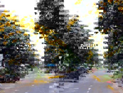 Chính Chủ Cần Tiền GIẢM GIÁ 400tr Bán Nhanh Nền Biệt Thự Đẹp