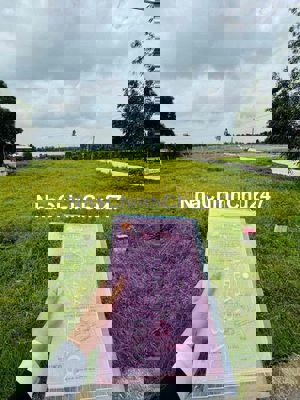 Chính chủ cần bán đất mặt tiền – pháp lý rõ ràng