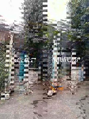 Chính chủ bán gấp 98m2 nhà C4 - HXH 4M giá 7,3tỷ Lê Đức Thọ. P16 GV.