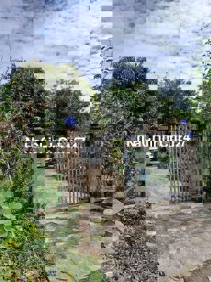 Đất thổ cư chính chủ có sẵn nhà cấp 4 cũ!