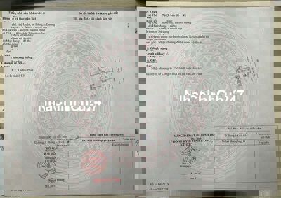 Đất bàu bàng chính chủ gấp