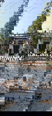 KẸT TIỀN, CHỦ BÁN NHANH NHÀ VƯỜN TÂM HUYẾT TẠI TRẢNG BÀNG, SHR , 995TR