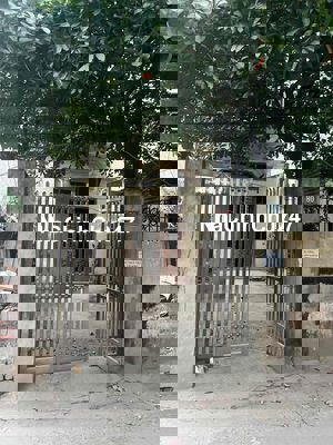 Chính Chủ Bán Đất tặng Nhà