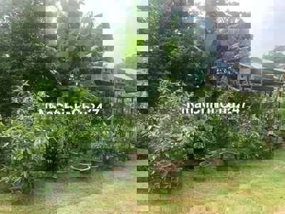 Đất Chính chủ mặt tiền Truông bồng bông cách nguyễn văn thành 70m  P.ò