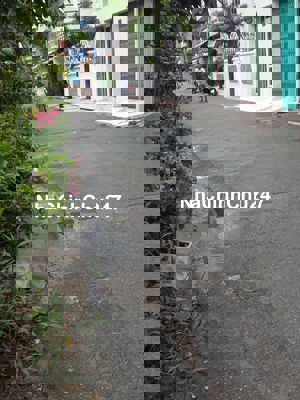 Bán nhà chính chủ bị ngộp bank giảm lổ 1 tỷ . 67m 4,1 x16m 3t 4pn