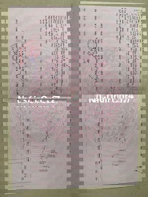 Chính chủ bán đất, đường nhựa 8m, đất vuông vứt