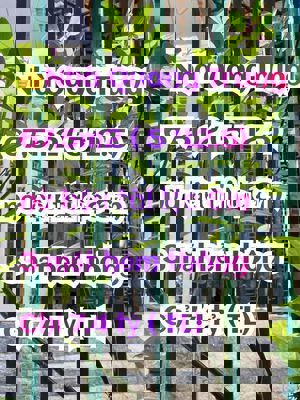 🏡 Chính chủ bán nhà NỞ HẬU, 3 mặt hẻm thông , ngang khủng 5m, 67.5m².