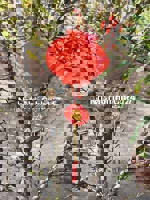 Chính chủ, nhà mặt tiền Quốc lộ 54 ngay thị trấn, có sổ đỏ