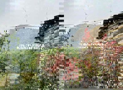 CHÍNH CHỦ CẮT LỖ 40% ĐẤT P8 ĐÀ LẠT CÓ SẴN CĂN NHÀ GỖ VIEW RỪNG THÔNG