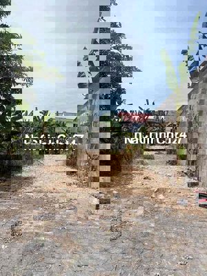 Chính chủ ban dat Hoà liên 4 125m2 đối diện chợ quan nam.