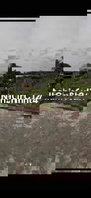 Đất Hoà Khánh - sổ hồng chính chủ