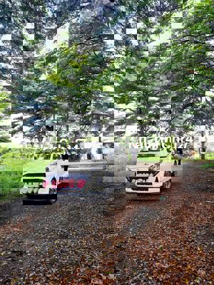 🌟 CHÍNH CHỦ BÁN ĐẤT TRUNG TÂM XÃ LONG HÒA – LONG AN 128M2 CHỈ 1.5 TỶ