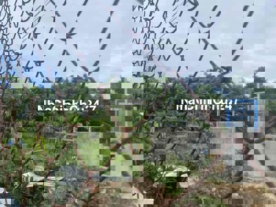 chính chủ bán đất