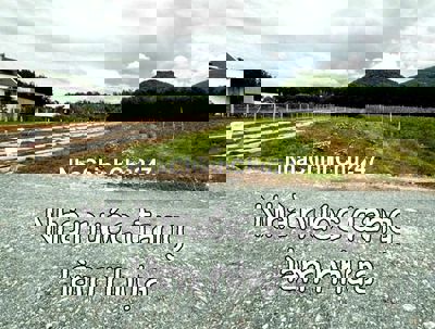 Cần bán đất chính chủ Thạnh Tân, thành phố Tây Ninh 12x88 1tỷ550