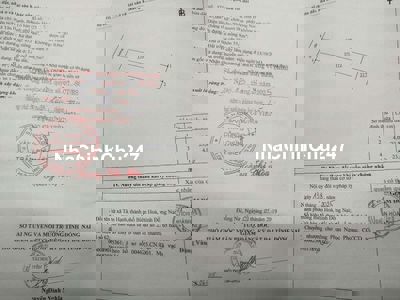 ĐẤT CHÍNH CHỦ TÂN HẠNH GIÁP NGÃ TƯ BÌNH TRỊ, ĐÔNG BÌNH DƯƠNG