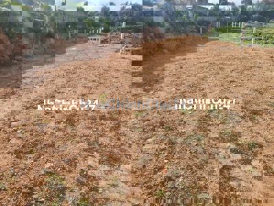 Chính Chủ Bán Lô Đất Trồng Cây Lâu Năm Mặt Tiền Đường DT 602