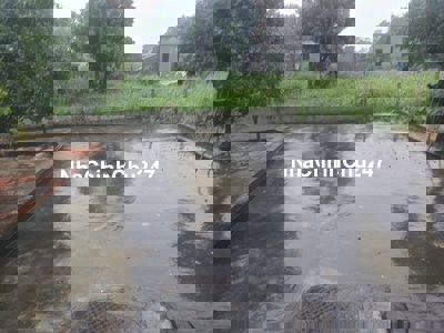 Đất sổ đỏ ~750m2 chính chủ Ý Yên