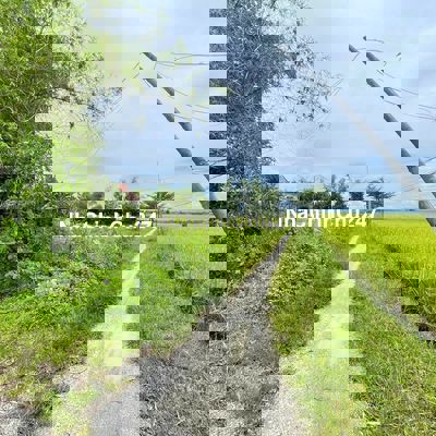 Bán lô đất đẹp chính chủ.Thăng Bình, Đà Nẵng. 280m ngang 10, 450 triệu