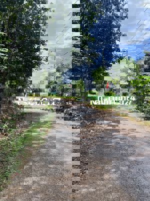 Chính chủ Cần Bán Đất Nền KDC Đối diện nhà văn hóa