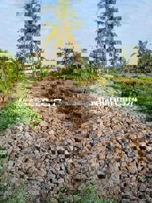 đất nhà chính chủ