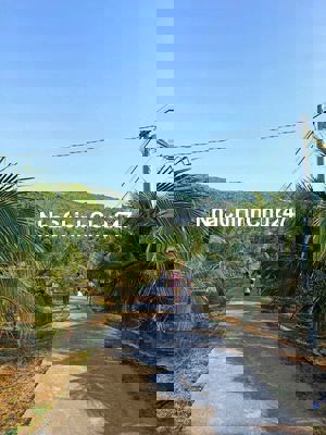 Chính Chủ Bán 3453m2 Đất Tựa Núi Sẵn Vườn Dừa tại Xuân Thọ, Xuân Lộc