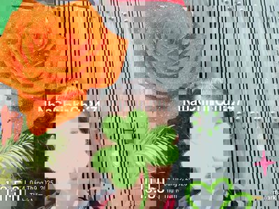 Bán nhà gấp chủ ngộp cần tiền gấp