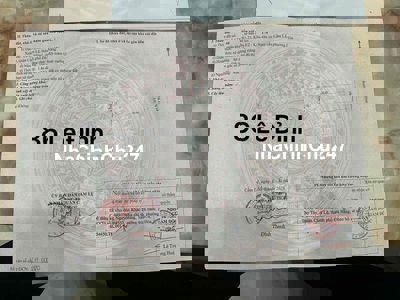 chủ cần bán đất đường Lê Đỉnh - Hoà Xuân lên nhà số 86 phát lộc