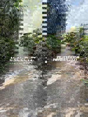 chính chủ cần bán lô đất nền full thổ cư