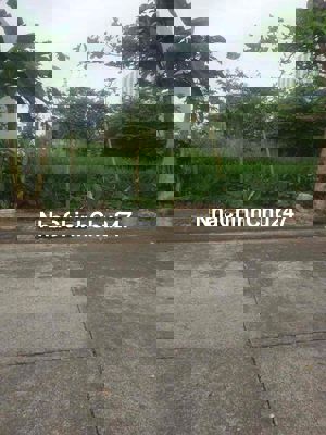 CHÍNH CHỦ LÔ ĐẤT ĐẸP TÁI ĐỊNH CƯ PHONG NAM HÒA XUÂN ĐƯỜNG 7,5M